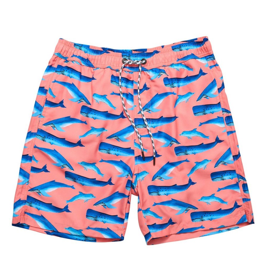 Mens Snapper Rock | Mens Whale Tail Swim Short